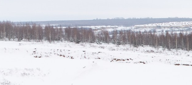 Новинки 