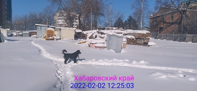 ЖК 