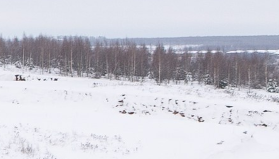 Новинки