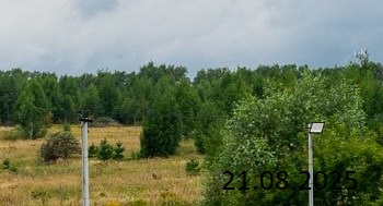 Новинки