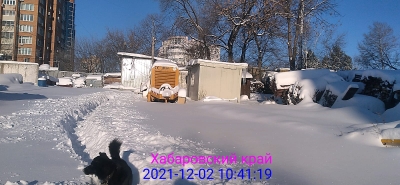 ЖК 
