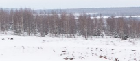 Новинки