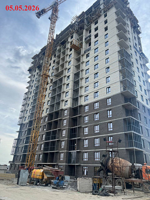 Крылья Качи