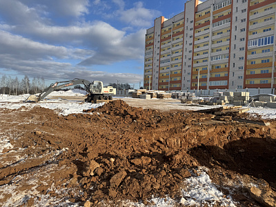 Деревня Новосельцы