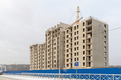 Янила Форест