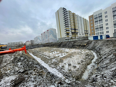 Новая Заря