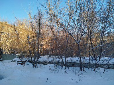 г. Новосибирск