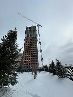 ЖК Чернышевский