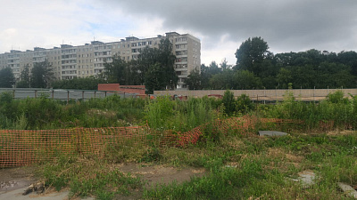 Расцветай на Зорге
