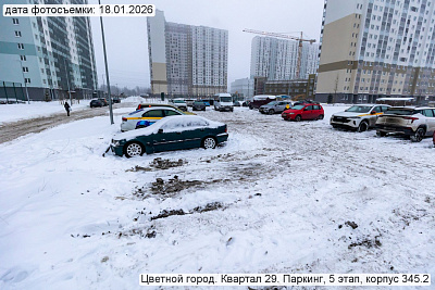 Цветной город