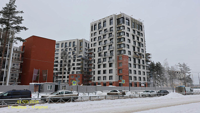 ВЕРЕН НОРТ СЕРТОЛОВО 