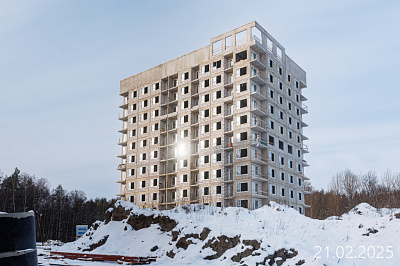 Новоселье