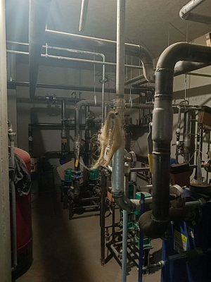 Расцветай на Бугринской роще