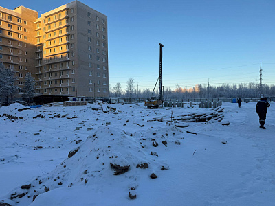 ПОЛЯРИС