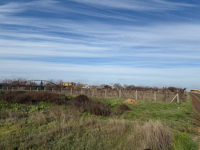 Село Новоселовка, Улица Виноградная