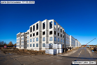 Пулково Лейк