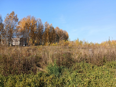 Квартал-парк