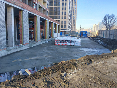 Сакура парк