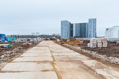 Парголово