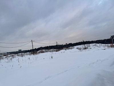 RIGA HILLS (РИГА ХИЛЛС)