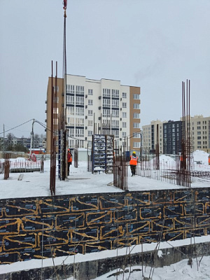 Новая Заря