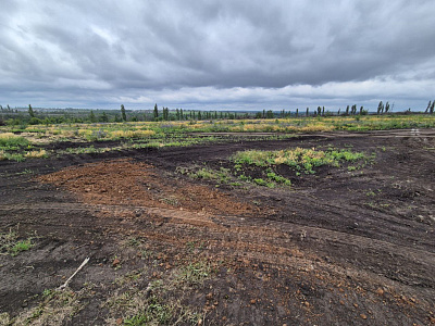 Село Репное
