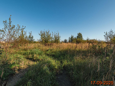 Таллинский парк