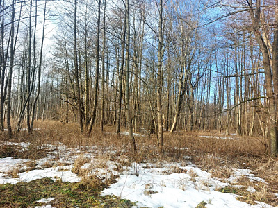 Комплекс апартаментов OTRADA resort
