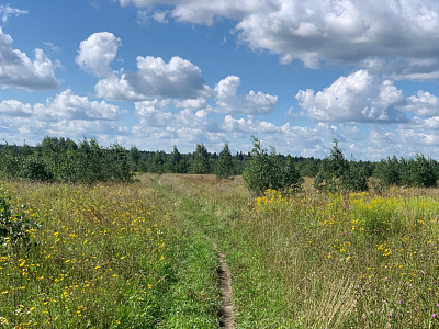 Жилой комплекс