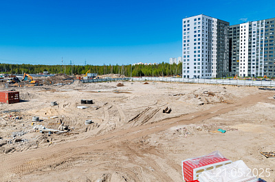 Парголово