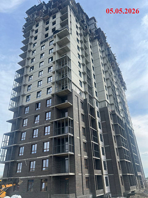 Крылья Качи