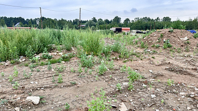 Загородный квартал