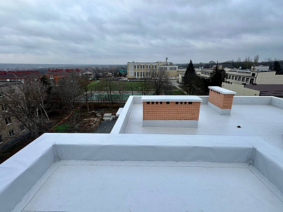 Поселок Персиановский, Улица Мичурина
