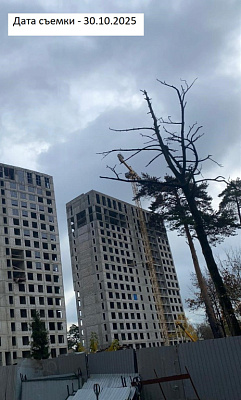 ЖК