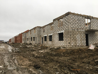 ЛО, Городской поселок Фёдоровское, Улица Меньшиковская