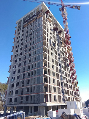 Норвежский лес