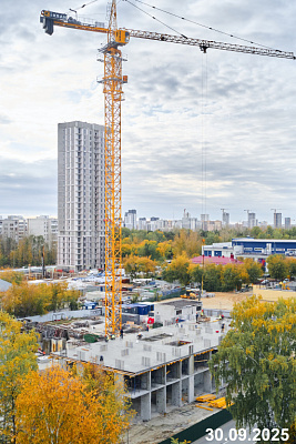 ТОЛК МЕДНЫЙ