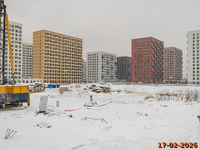 Янинский лес