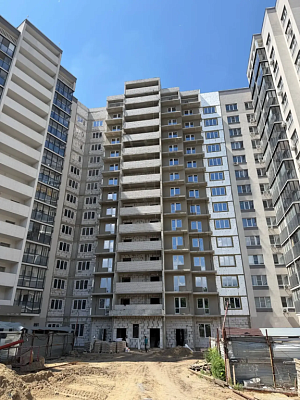 г. Воронеж, Улица Димитрова