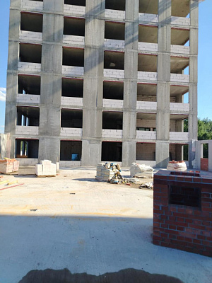 КУРКИНО15