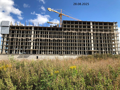 Платон Парк поз.2