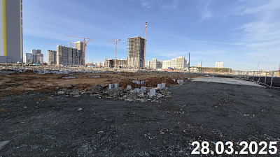 Толк Академический