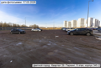 Цветной город