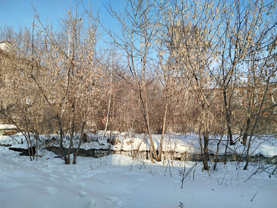 г. Новосибирск