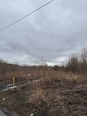 село С Новолуговое