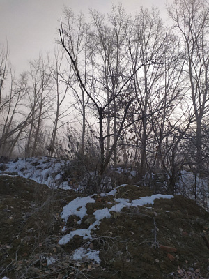 г. Новосибирск