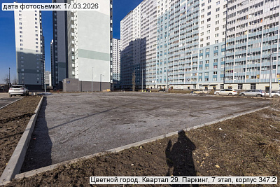 Цветной город