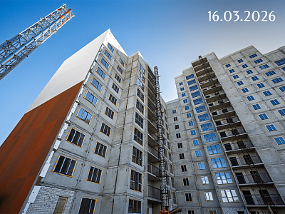 Инстеп.Бабяково