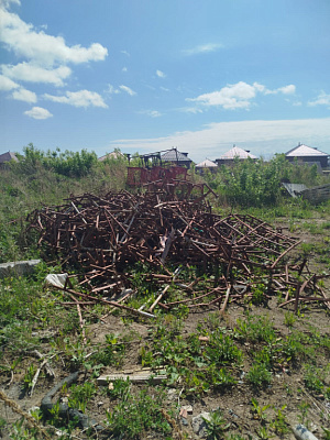 Расцветай на Зорге