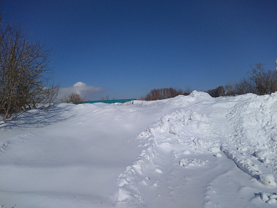 Цветной бульвар